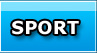Jeux de SPORT