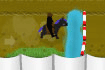 Poney Academy