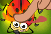 Jeu Insect Crush